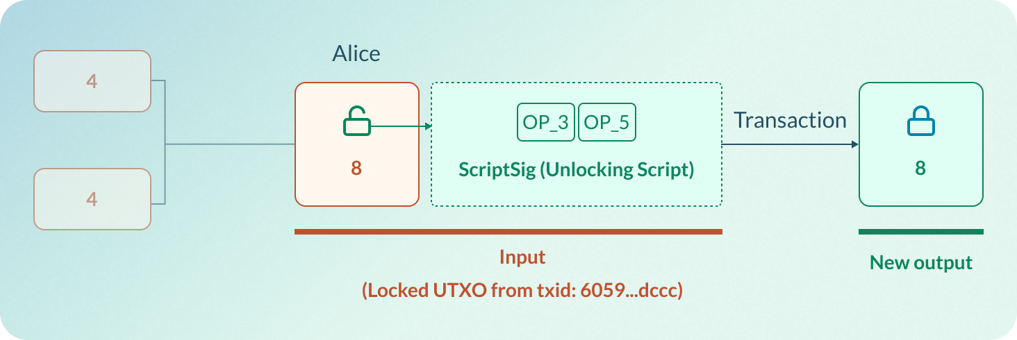 The unlocking script in a transaction's input