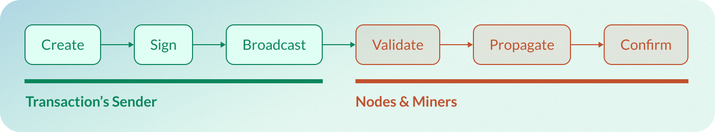 Transaction lifecycle spans from creation to confirmation